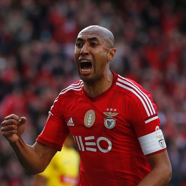 Imagem do Luisão